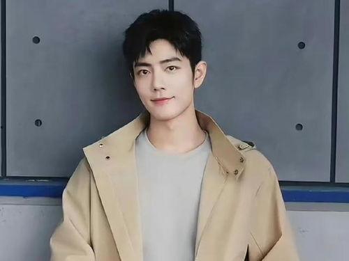 胡歌肖战最新爆料,揭秘娱乐圈背后的故事与真相  第3张